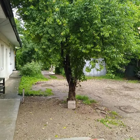 Garsoniera In Centru Daire
